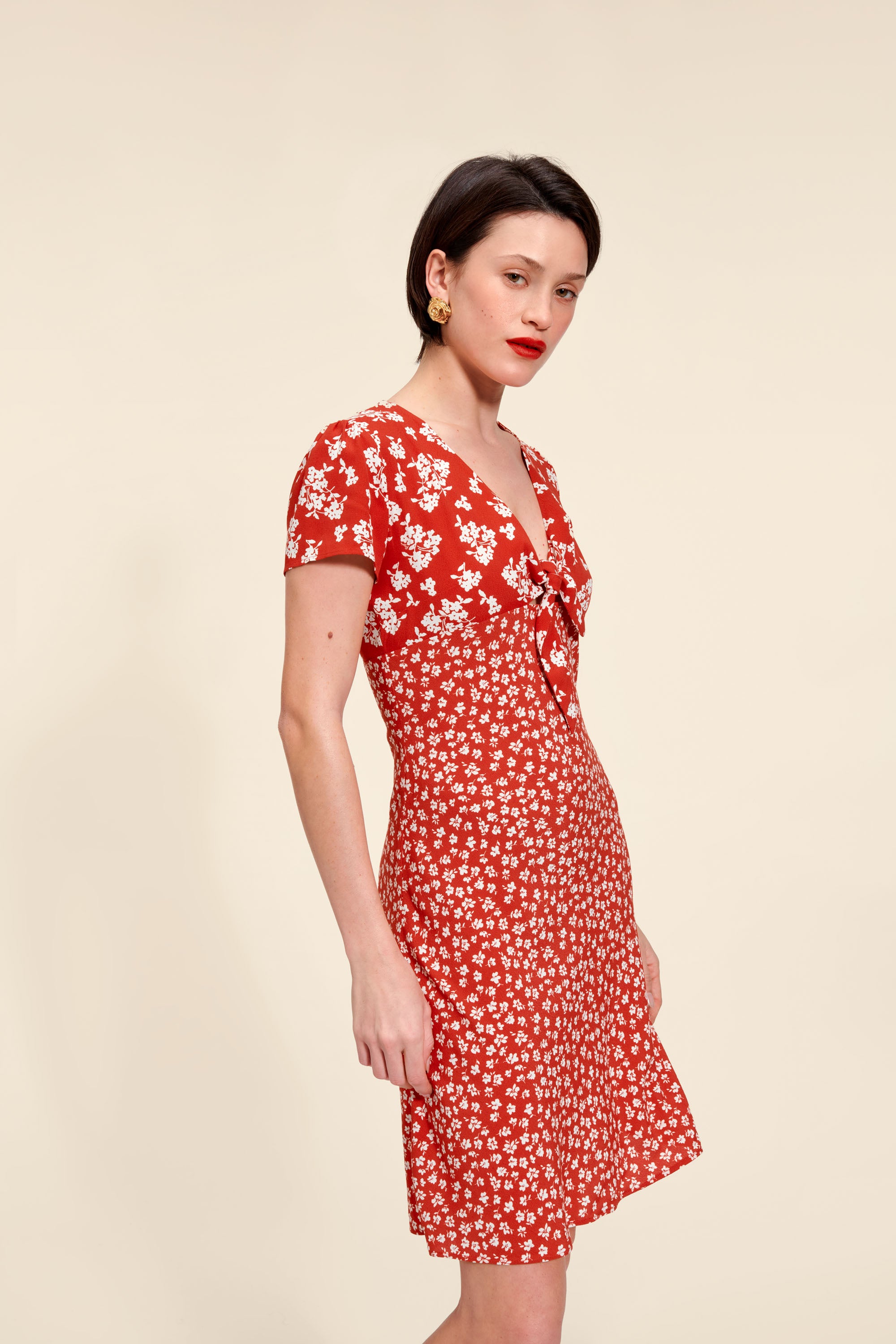 Barney -Kleid Barney -Kleid